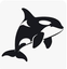 Orca-mini